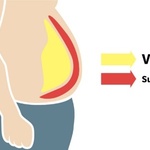 visceral fat