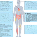 obesity related problems