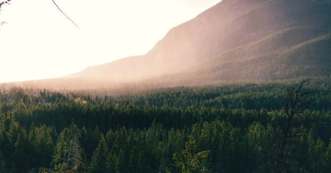 Why Insurance Doesn’t Always Cover Maintenance Care — and Why It’s Still Worth It