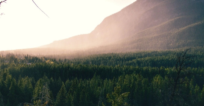 The Surprising Link Between Your Spine and Brain Health image